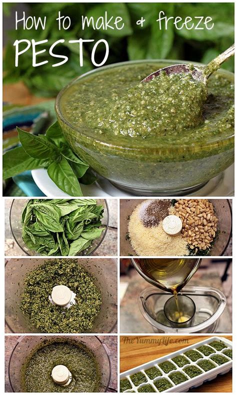 pesto-how-to-make-it-and-freeze-it-the-yummy-life image