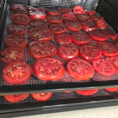 dehydrating-tomatoes-and-tomato-powder-food image