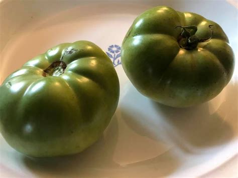 amish-green-tomato-pie-delicious-amish365com image