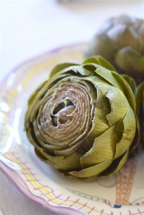 how-to-cook-artichokes-in-a-pressure-cooker-the image