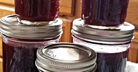 58-easy-and-tasty-moonshine-recipes-by-home-cooks image