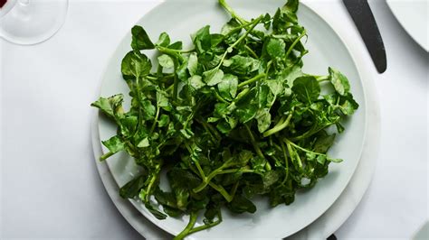 watercress-salad-with-mustard-vinaigrette-recipe-bon-apptit image