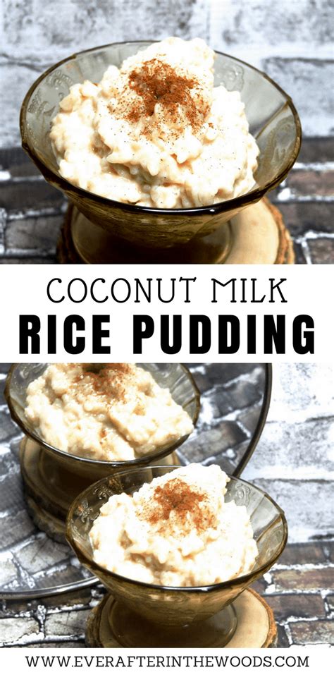 coconut-milk-rice-pudding-ever-after-in-the-woods image