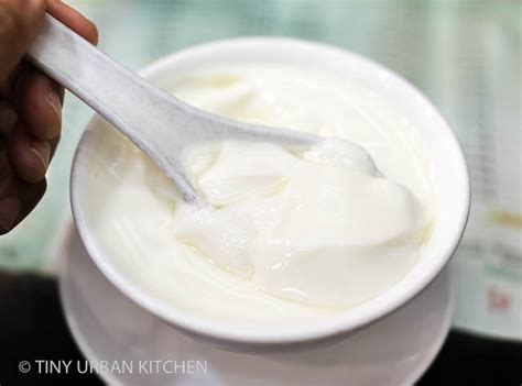 yee-shun-milk-company-double-skin-milk-pudding-双 image