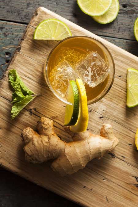 mint-lime-ginger-splash-recipe-foodal image