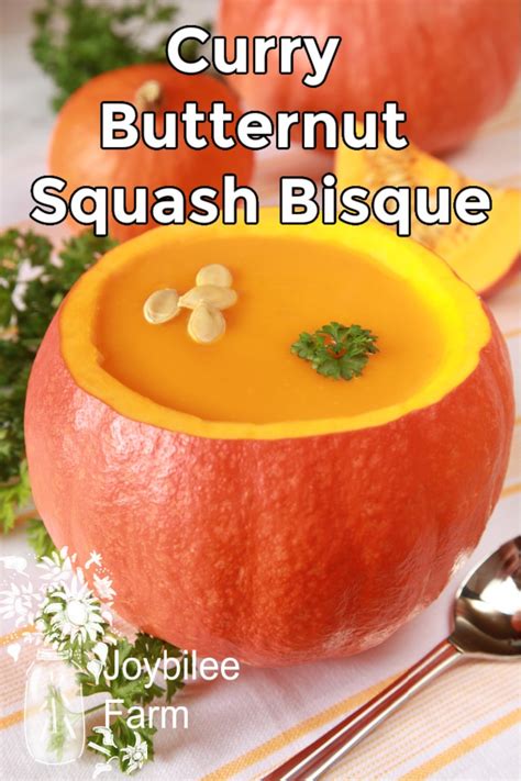 curry-butternut-squash-bisque-recipe-joybilee-farm image