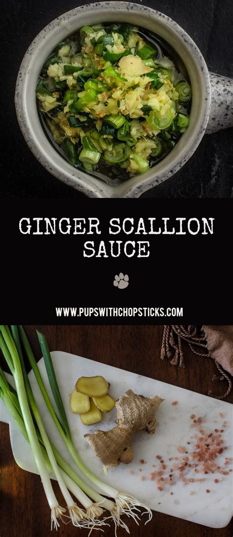 ginger-scallion-sauce-pups-with-chopsticks image