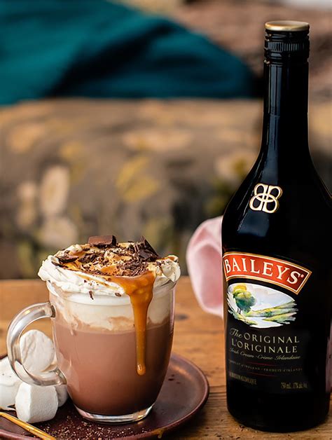 baileys-hot-chocolate-recipe-baileys-ca image