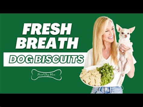 homemade-fresh-breath-dog-biscuit-recipe-proud-dog image