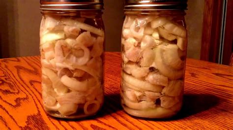 how-to-pickle-northern-pike-the-best-pickled image