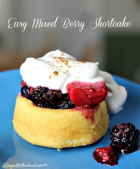 easy-mixed-berry-shortcake-recipe-a-day-in image