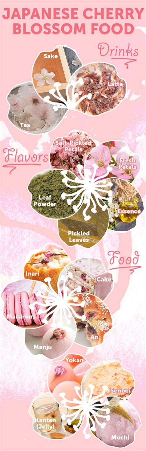 sakura-food-drinks-to-celebrate-cherry-blossom image