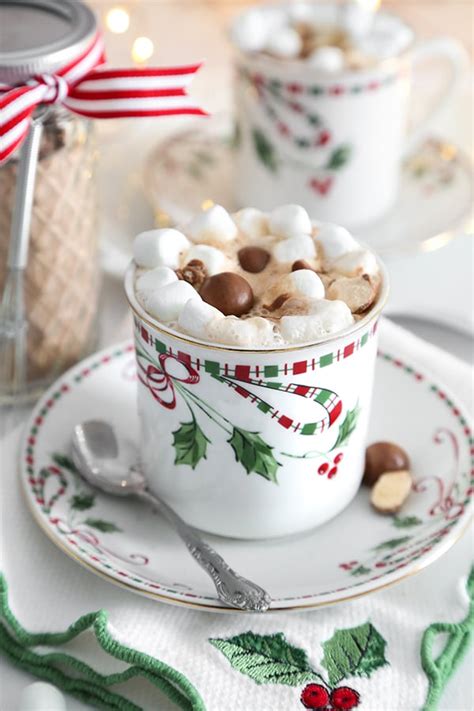instant-malted-hot-cocoa-mix-sprinkle-bakes image
