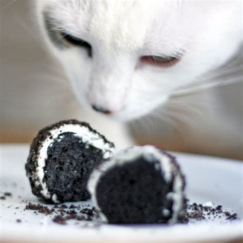 oreo-truffle-bombs-with-pictures-instructables image