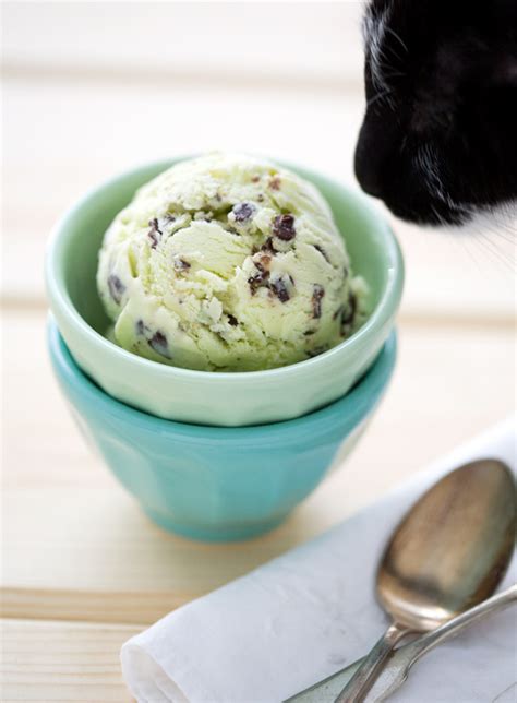andes-mint-chip-ice-cream-love-and-olive-oil image