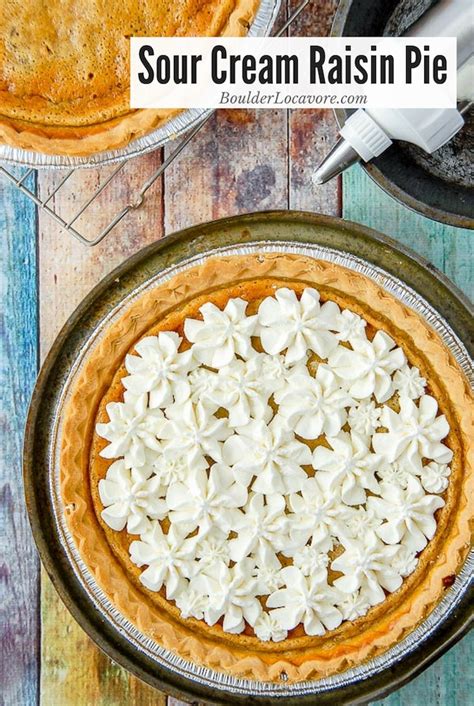 sour-cream-raisin-pie-an-irresistible-easy-custard-pie image