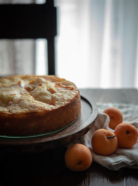 apricot-kuchen-german-apricot-cake-beyond-kimchee image