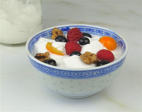 homemade-coconut-milk-yogurt-janes-healthy-kitchen image