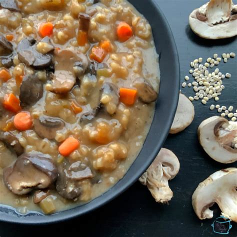 slow-cooker-mushroom-barley-soup-the-lazy-slow image