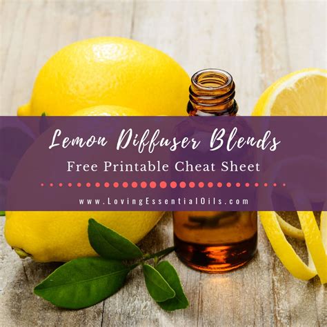lemon-diffuser-blends-10-fresh-essential-oil image