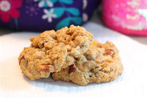 lunchbox-cookies-recipe-kid-friendly-dairy-free-nut image