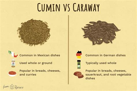 differences-between-caraway-and-cumin-spices-the-spruce-eats image