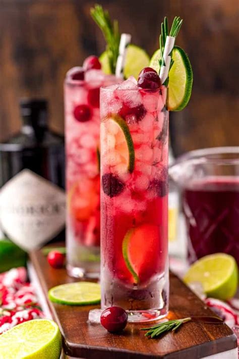 cranberry-gin-tonic-with-rosemary-rachel-cooks image