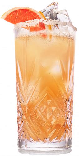salty-dog-cocktail-gin-grapefruit-cocktail image