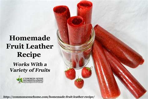 homemade-fruit-leather-recipe-works-with-a-variety image