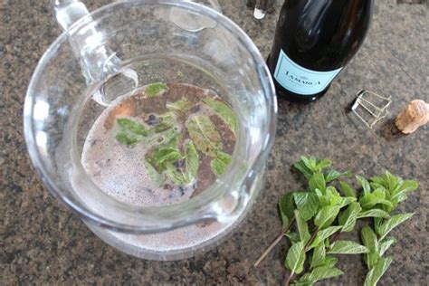 blueberry-mint-prosecco-cocktail image