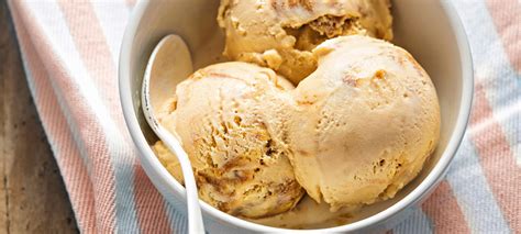 butterscotch-gourmet-ice-cream-ninja-test-kitchen image