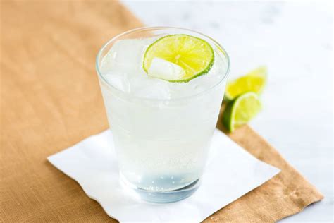 best-gin-and-tonic-recipe-inspired-taste image