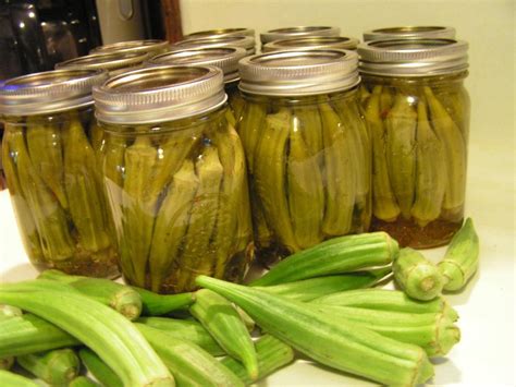 pickled-okra-dee-dees-recipe-pickled-okra-okra image