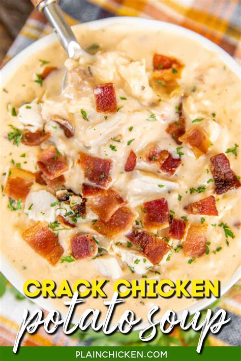 slow-cooker-crack-chicken-potato-soup-plain-chicken image