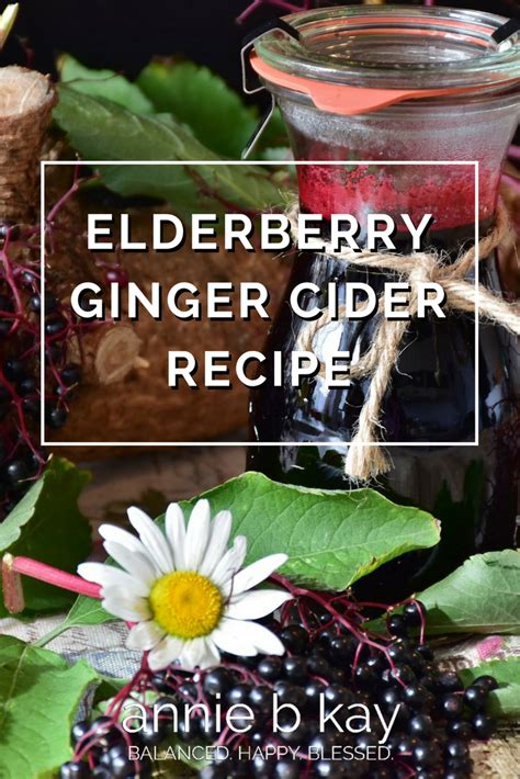 elderberry-ginger-cider-recipe-annie-b-kay image
