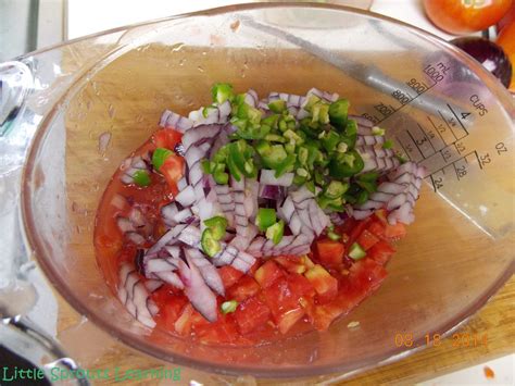 homemade-rotel-tomatoes-recipe-little-sprouts-learning image