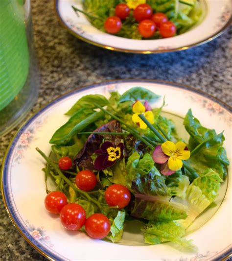 baby-greens-salad-with-light-balsamic-vinaigrette image
