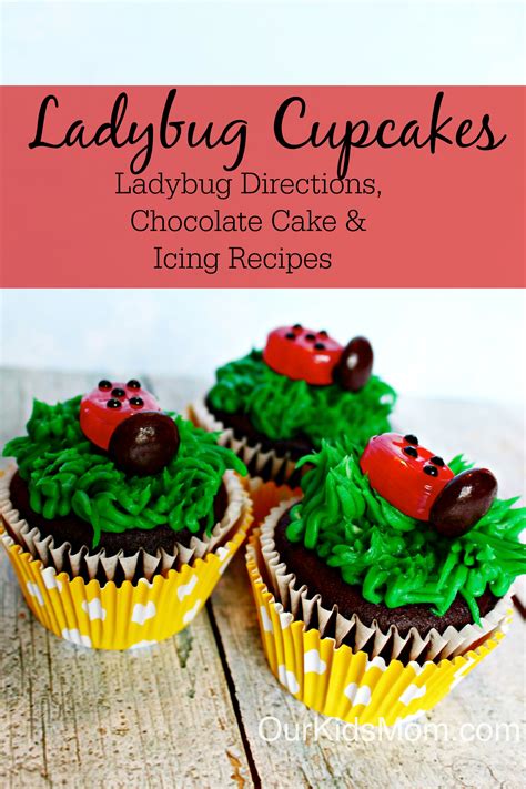 ladybug-cupcakes-homemade-chocolate-cupcakes image