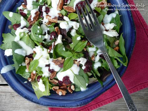 cranberry-pecan-salad-with-goat-cheese-sumptuous image