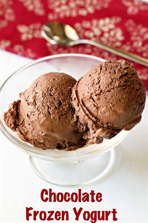 chocolate-frozen-yogurt image