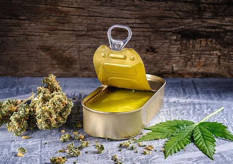 how-to-make-highly-potent-cannabis-butter-for-edibles image