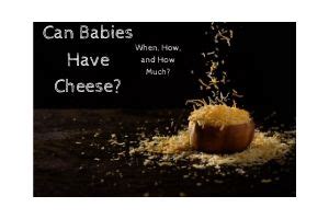giving-baby-cheese-when-to-start-how-to-feed image