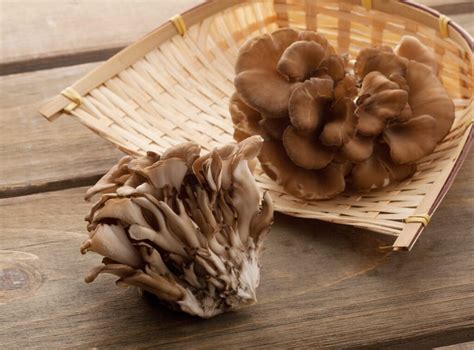 hen-of-the-woods-mushrooms-recipes-the-kitchen image