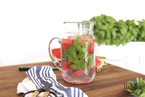 watermelon-basil-infused-water-north-shore-living image