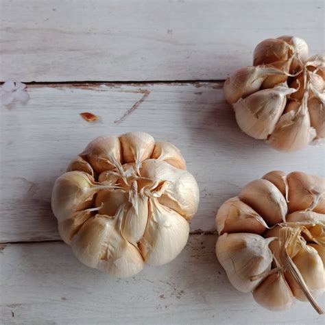 braised-brisket-with-36-cloves-of-garlic image