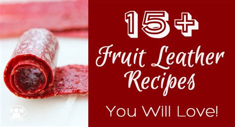 best-15-fruit-leather-recipes-to-make-at-home image