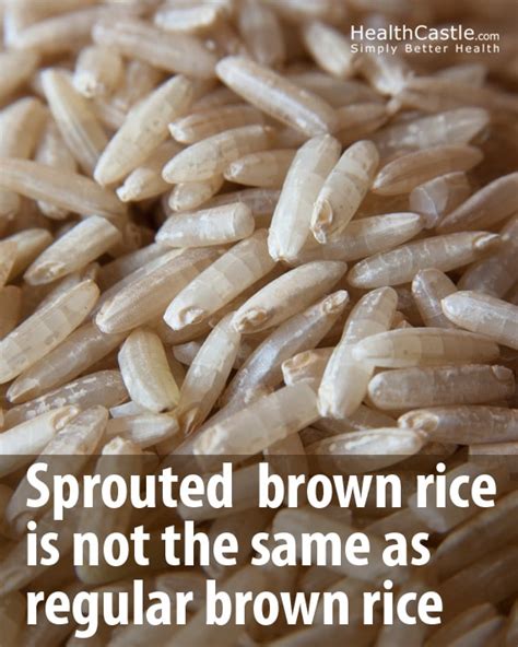 sprouted-brown-rice-health-benefits-and-how-to image