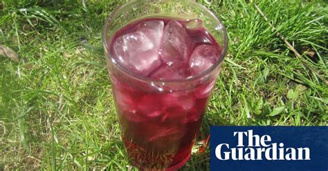 how-to-make-blackberry-and-star-anise-cordial image