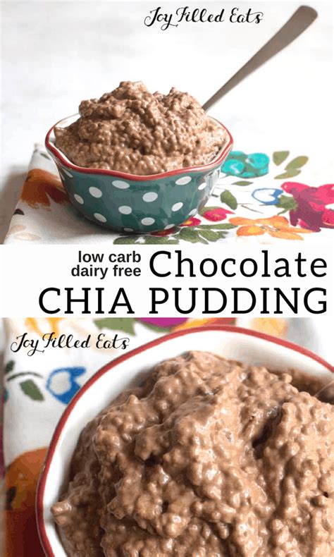 keto-chocolate-chia-pudding-recipe-dairy-free-low image