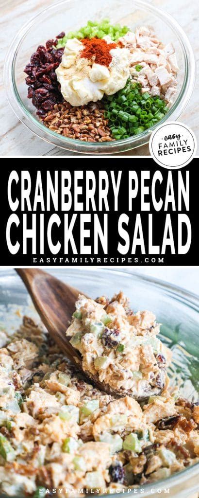 cranberry-pecan-chicken-salad-easy-family image
